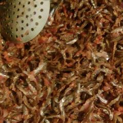 A picture of Omena fry and ugali.