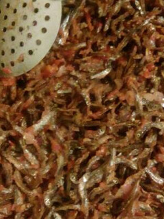 A picture of Omena fry and ugali.