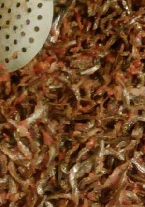 A picture of Omena fry and ugali.