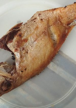 Foto resep Ikan kakap goreng