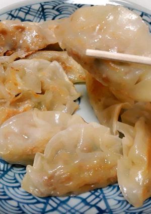 Foto resep Tuna Gyoza