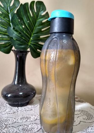 Foto resep Infused water lemon 🍋 dan kiwi🥝