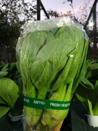 Easy Ways Prepare Recipes Sayur bening sawi /pokcoy the Can Spoil the Tongue Make You Drink.