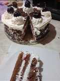 Selva negra