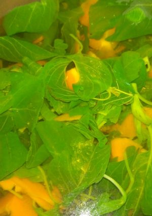 Foto resep Sayur bayam tanpa msg
