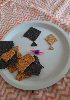 તલ ચીક્કી (Til Chikki Recipe In Gujarati) રેસીપી મુખ્ય ફોટો