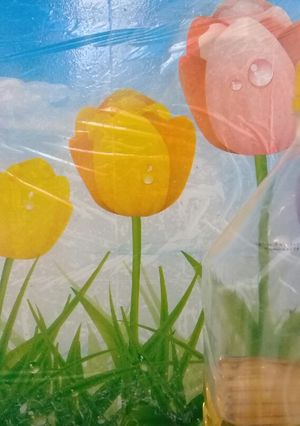 عکسی از دستور سرخ کردنی