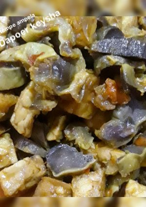 Foto resep 💜Oseng tempe ampela💜