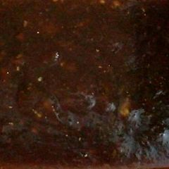 A picture of Unripe Guava Spice Jam.