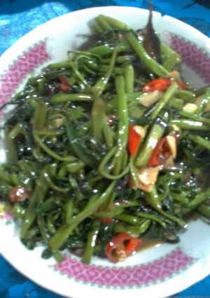 Foto resep Tumis kangkung saos tiram