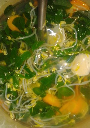 Foto resep Bening kecambah katuk