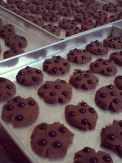 Foto resep Cookies Cokelat Chocochips
