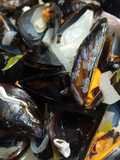 Mejillones al vapor/Músculs bullits amb ceba