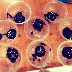 A picture of Cake pops.