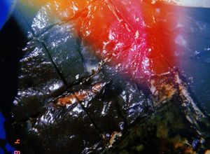 Gambar Cake batik anak dara
