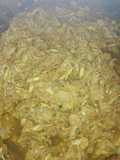 Pechuga. Al oriental