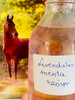 Levendulás menta szörp 🌞 recept fotója