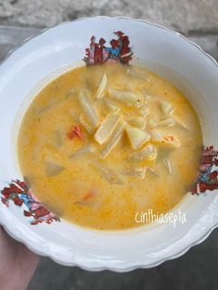 Foto resep Lodeh Pepaya Muda