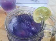 Gambar bunga telang lemon sereh