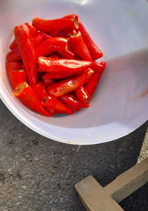 लाल मिर्ची का तीखा चटपटा अचार(Lal mirch ka tikha chatpata achar recipe in Hindi) रेसिपी मुख्य फोटो