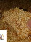 Sesame seeds