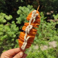 A picture of Twisted potato.