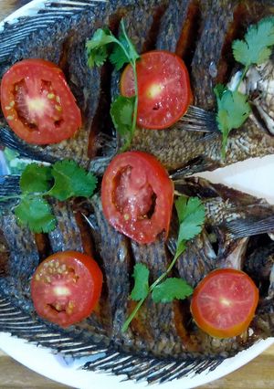 A picture of Fried fish.