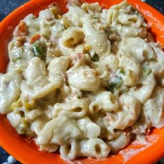 A picture of White sauce pasta.