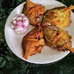 A picture of Pomfret fish 🐠 Masala Fry.