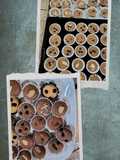 Brownies Kering Topping Variasi