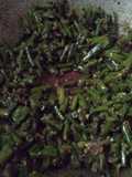 Barbati bhaja(kidney beans fry)
