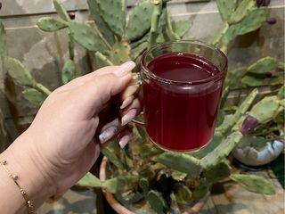 دمنوش کاکتوس