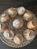 Bollos de Espelta