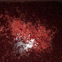 A picture of Sloe syrup.