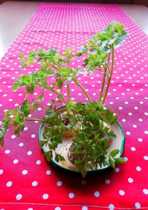 Zöldségzöld 🌿 recept fotója
