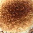 Tarta de coco y dulce de leche