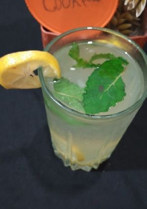 A picture of Mojito.