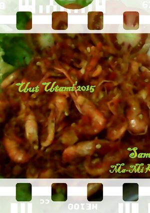 Foto resep SAMBAL UDANG KALI