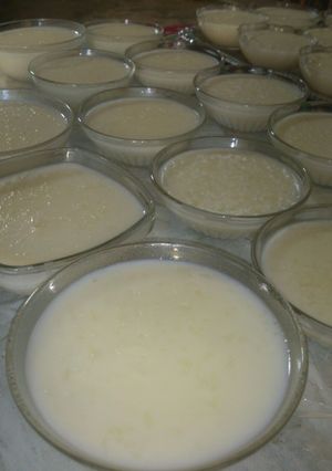صورة لوصفة رز بالحليب