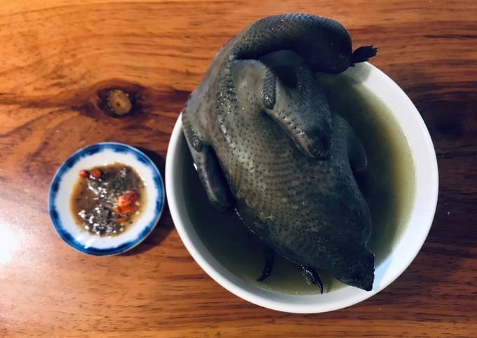 Món gà đen Sapa TV Món gà đen Sapa TV