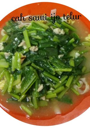 Foto resep Cah sawi hijau telur praktis