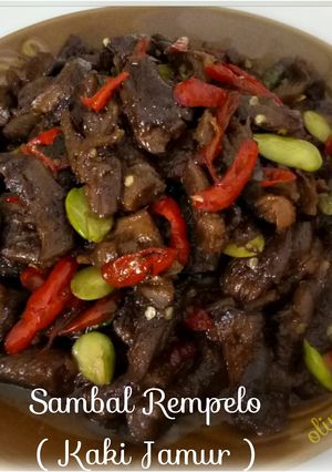 Foto resep Sambal Rempelo Vegetarian