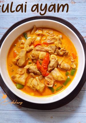 Foto resep 99. Gulai ayam dan sayur