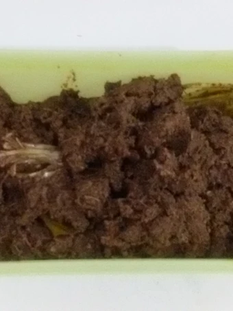 Langkah Mudah untuk Membuat Resep  Rendang Daging Rumahan ala Mahfrizha Kifani yang Sempurna, Lezat Sekali