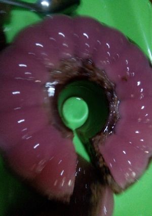 Foto resep Puding sederhana