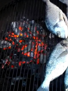 Una foto de Dorada a la brasa