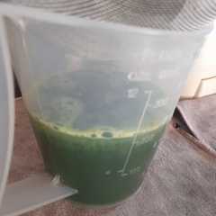 รูปของ Sirup pandan (coffee pandan)