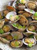 Steamed Clams with Sake (Rice Wine)