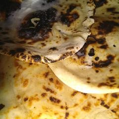 Butter naan A picture of Butter naan.