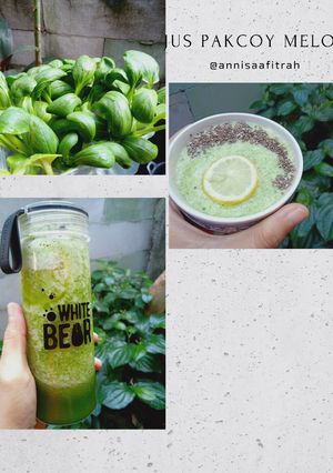Foto resep Jus Pakcoy Melon